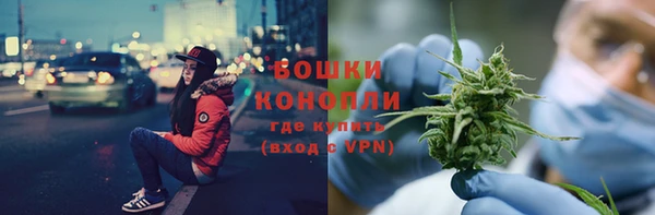 дживик Арсеньев