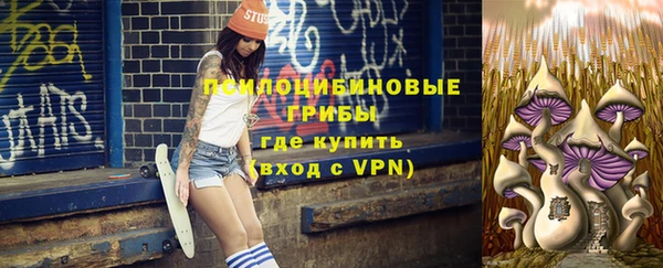 прущая мука Армянск