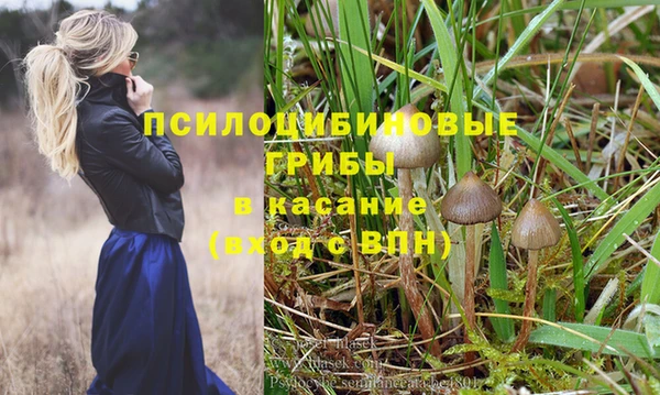 бошки Алексеевка