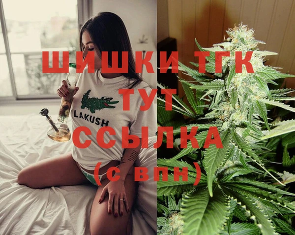 дживик Арсеньев