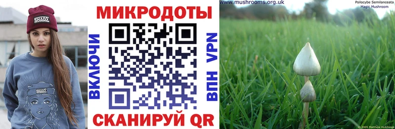 KRAKEN   Любань  Галлюциногенные грибы мухоморы 
